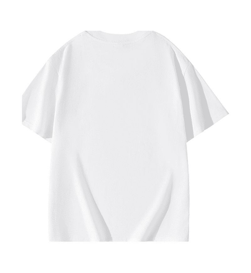 Wholesale Unisex 100 Cotton Regular Fit Short Sleeve T Shirt Adult
