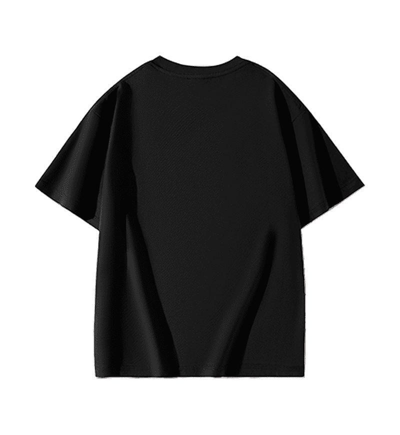 Wholesale Unisex 100 Cotton Regular Fit Short Sleeve T Shirt Adult