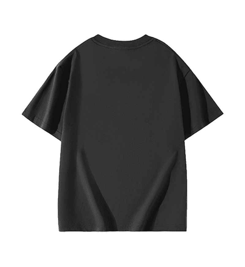 Wholesale Unisex 100 Cotton Regular Fit Short Sleeve T Shirt Adult