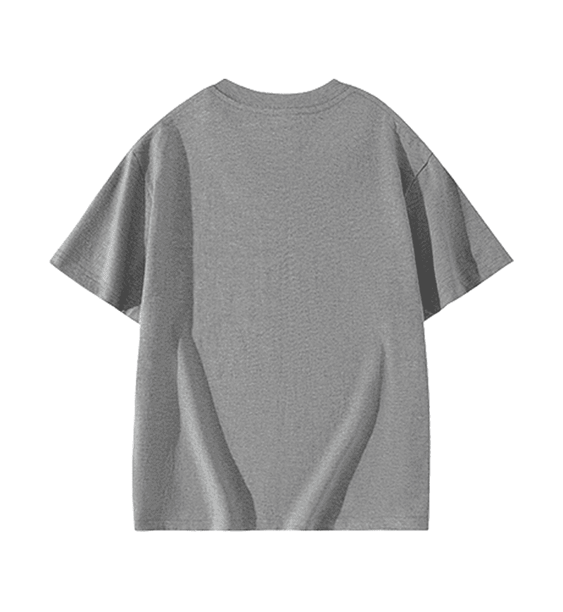 Wholesale Unisex 100 Cotton Regular Fit Short Sleeve T Shirt Adult