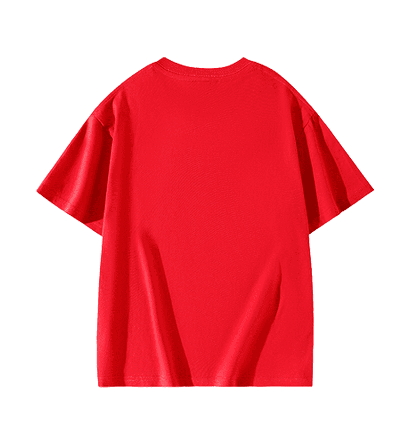 Wholesale Unisex 100 Cotton Regular Fit Short Sleeve T Shirt Adult