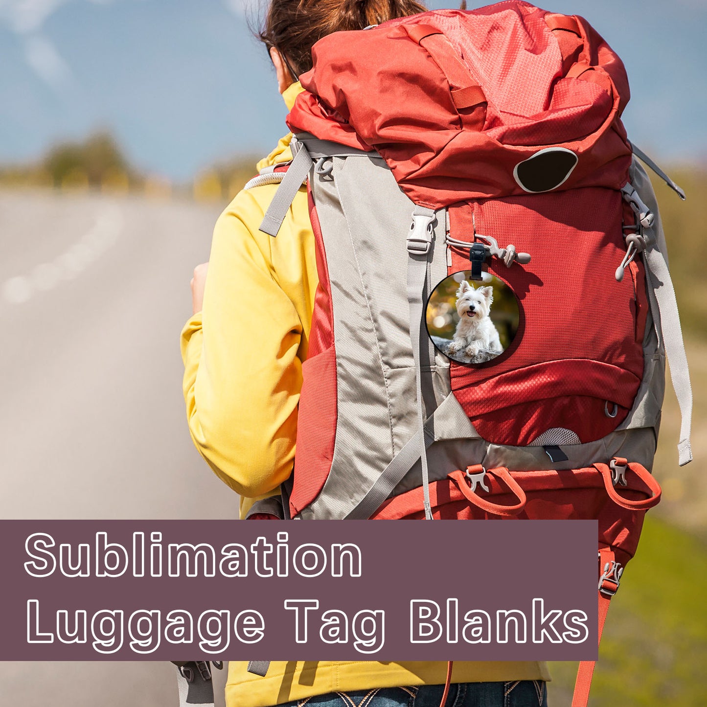 Round Sublimation Luggage Tag Blanks Wholesale