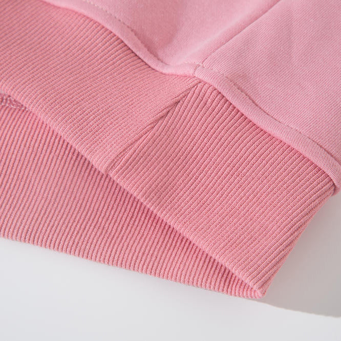 High-quality Adult Hoodies Blank 100% cotton Wholesale