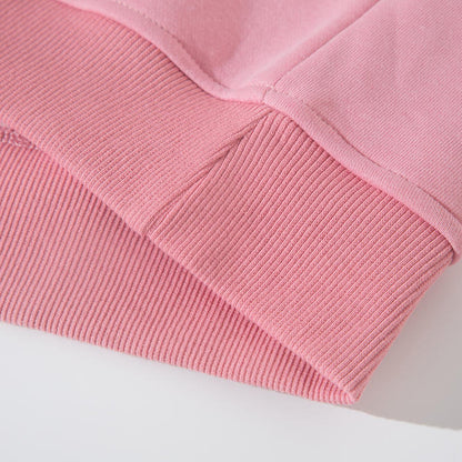 High-quality Adult Hoodies Blank 100% cotton Wholesale