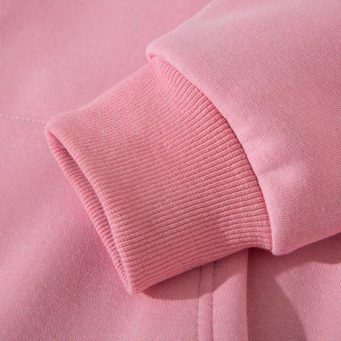 High-quality Adult Hoodies Blank 100% cotton Wholesale